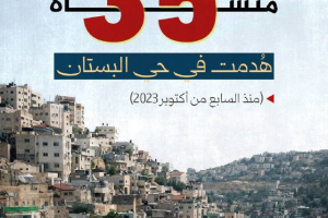 35 منشأة هدمت في البستان منذ أكتوبر 2023