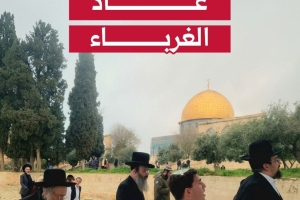 فُتح الأقصى.. لكن الغرباء عادوا!