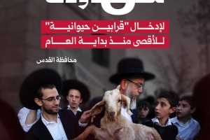 8 محاولات لإدخال "قرابين حيوانية" للأقصى منذ بداية العام