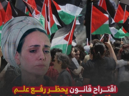 قانون حظر رفع علم فلسطين في الجامعات العبرية