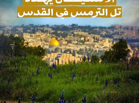 الاستيطان يهدد تل الترمس في القدس