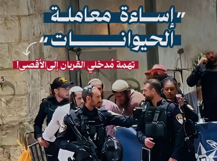 إساءة معاملة الحيوانات تهمة مُدخلي القربان للأقصى !