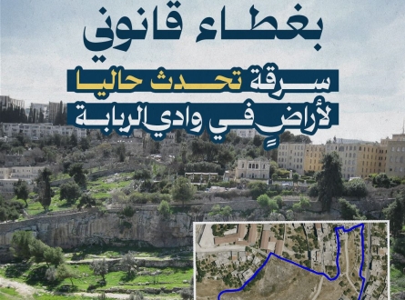 بغطاء قانوني.. سرقة تحدث حاليا لأراض في وادي الربابة