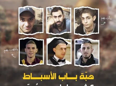 المُحمدون الستة!