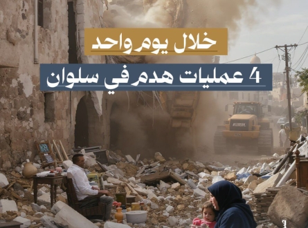 خلال يوم واحد.. 4 عمليات هدم في سلوان