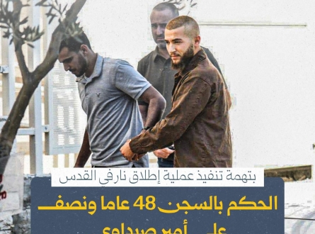 الحكم بالسجن 48 عاما ونصف على أمير صيداوي