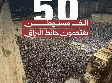 50 ألف مستوطن يقتحمون حائط البراق