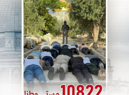 10822 مستوطنا اقتحموا الأقصى في شهر واحد!