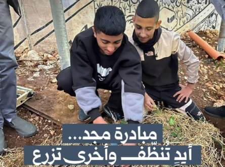 مبادرة مجد.. أيدٍ تنظف وأخرى تزرع