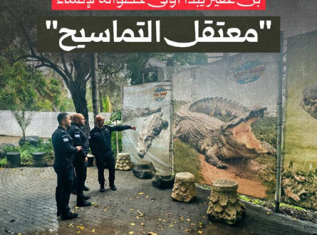 بن غفير يبدأ أولى خطواته لإنشاء "معتقل التماسيح"