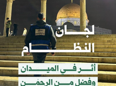 لجان النظام.. أثر في الميدان وفضل من الرحمن