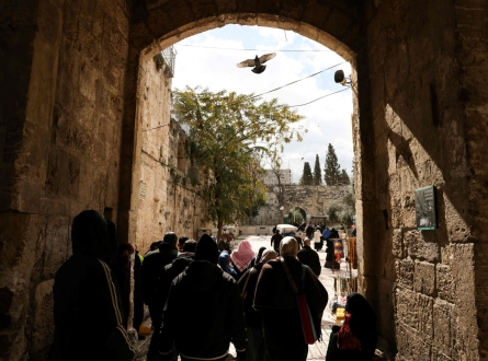 تصريح لمرة واحدة.. وغير مضمون!