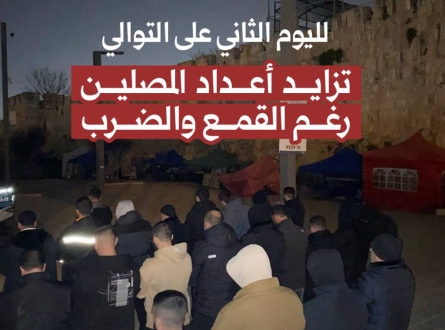 لليوم الثاني.. تزايد أعداد المصلين بالأقصى رغم القمع
