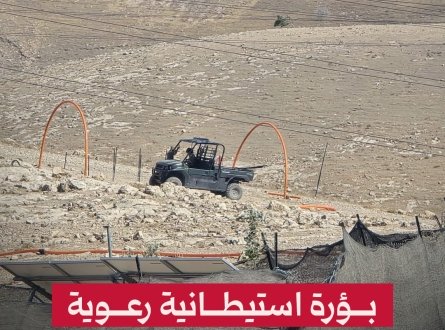 بؤرة استيطانية رعوية جديدة شمال القدس