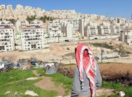 80 صورة تكشف جريمة جديدة
