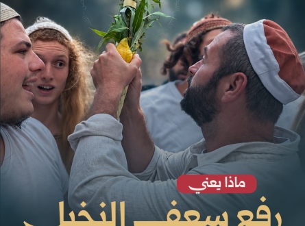 ماذا يعني رفع سعف النخيل في الأقصى؟!