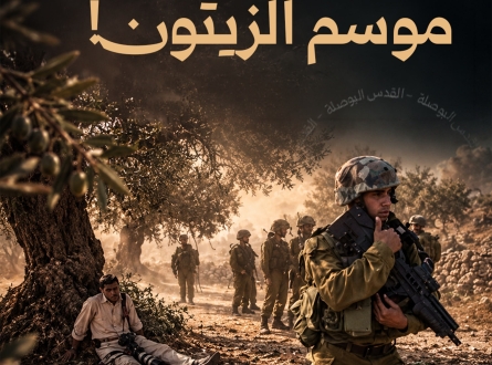 ضياع موسم الزيتون!